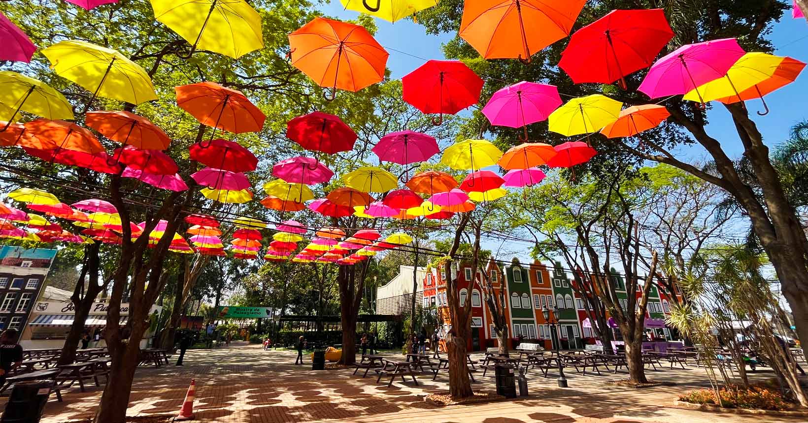 Excursão Natal Mágico de Holambra
